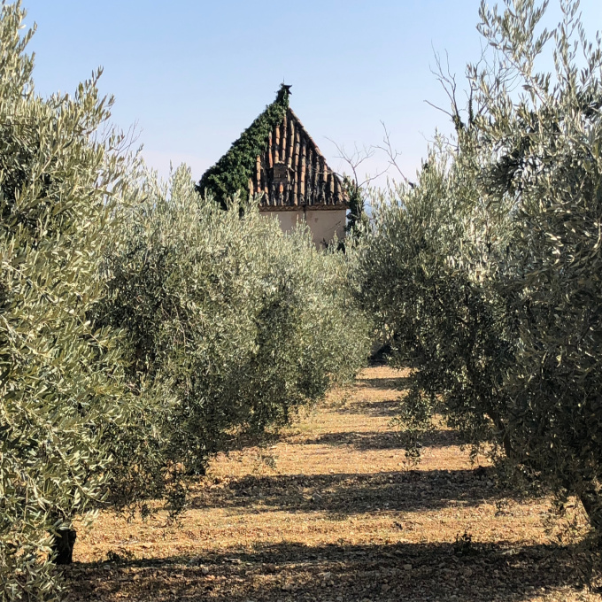Offres de vente Terrain Saint-Saturnin-lès-Apt (84490)